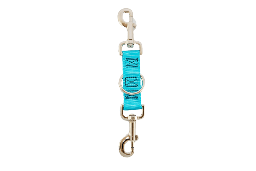 Tiffany blue top dog leash