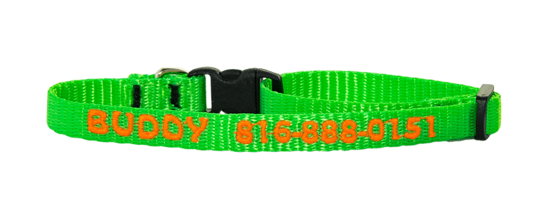 three eighths inch personalized dog collar