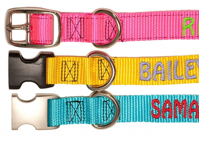 Monogram dog collar vs Leather dog collars