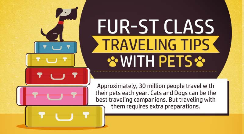 Traveling Tips With Pets