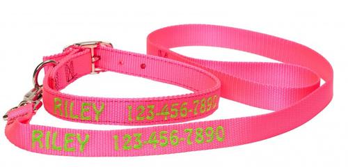 Night Love Dog Collar and Leash Set  Personalized ID Collars – CurliTail