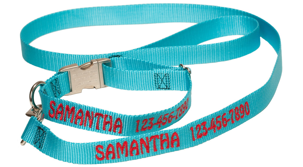 Metal Side Release Collar & Leash Combo
