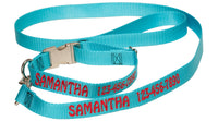 Metal Side Release Collar & Leash Combo
