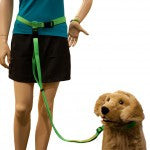 Dog-N-Jog set